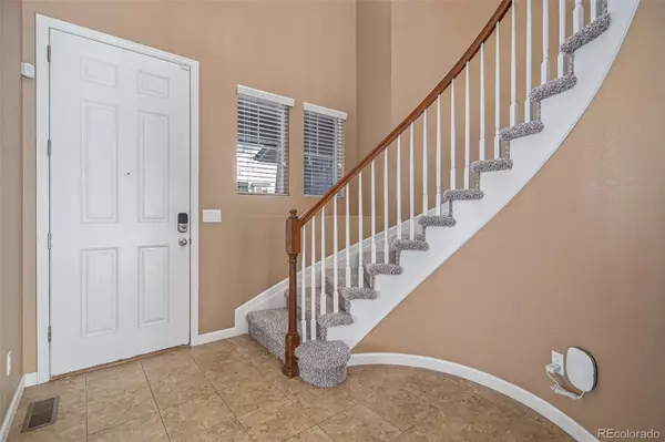 Castle Rock, CO 80109,1101 Clear Sky WAY