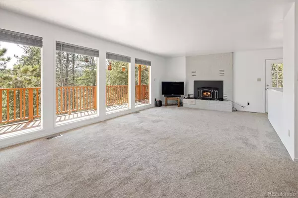 Pine, CO 80470,11744 S Stallion DR