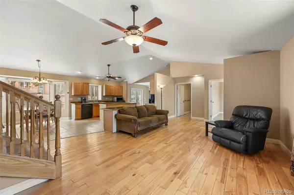 Florissant, CO 80816,233 Black Mesa CIR