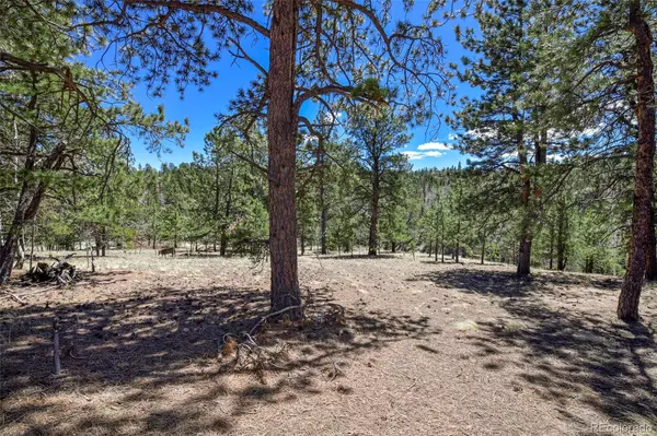 Florissant, CO 80816,112 Blue Jay LN