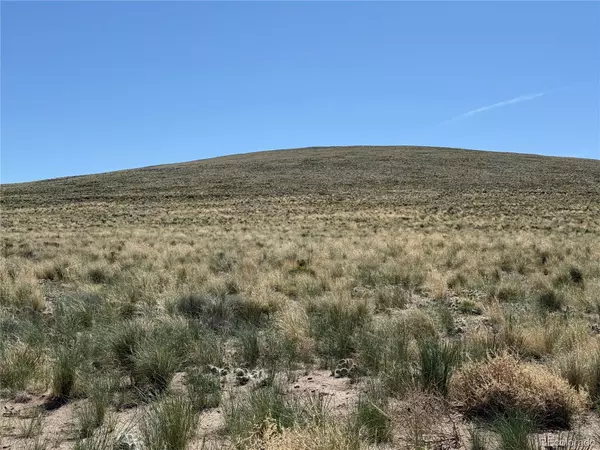 Blanca, CO 81123,00 Alyssum AVE