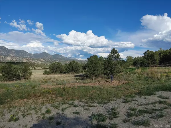 Nathrop, CO 81236,11014 Arrowhead LN