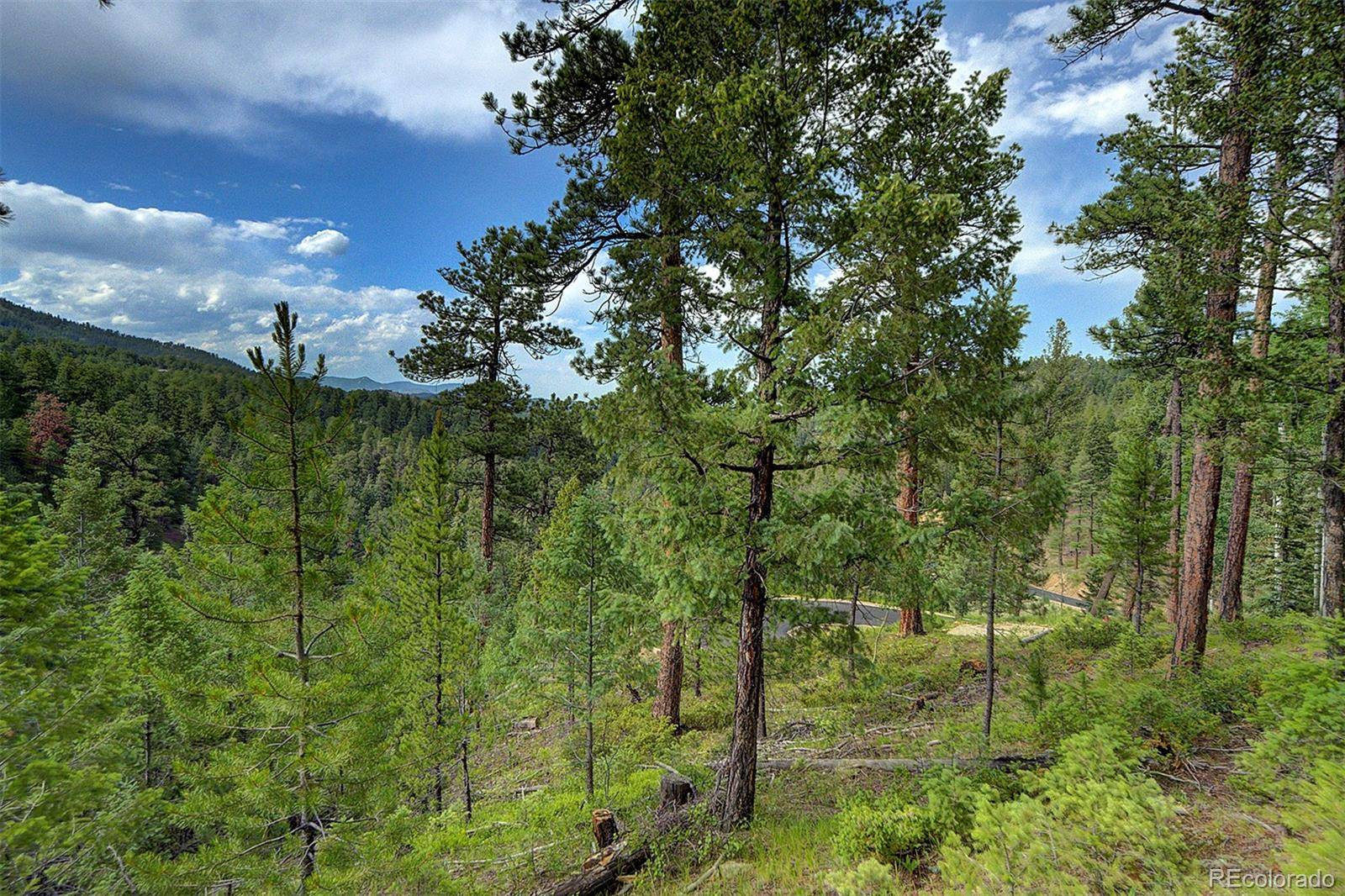 Evergreen, CO 80439,6855 Lynx Lair RD
