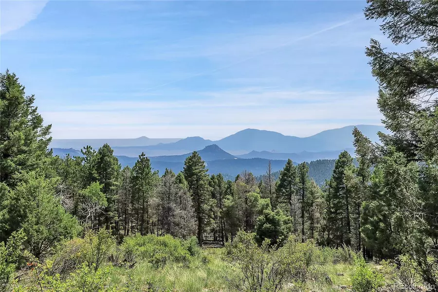 26526 Gray Buck TRL, Conifer, CO 80433