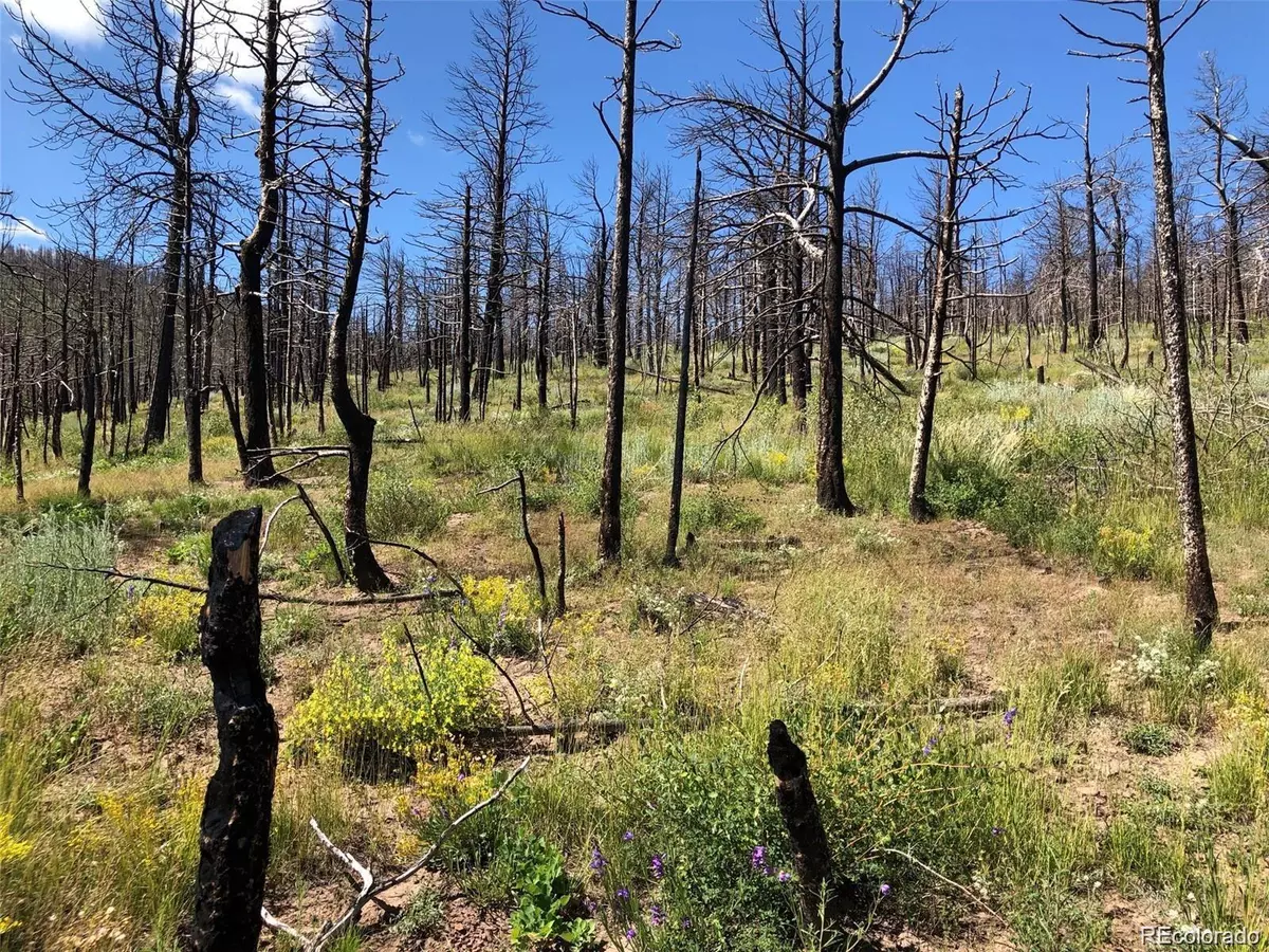 Fort Garland, CO 81133,323 Wagon Mesa LOOP