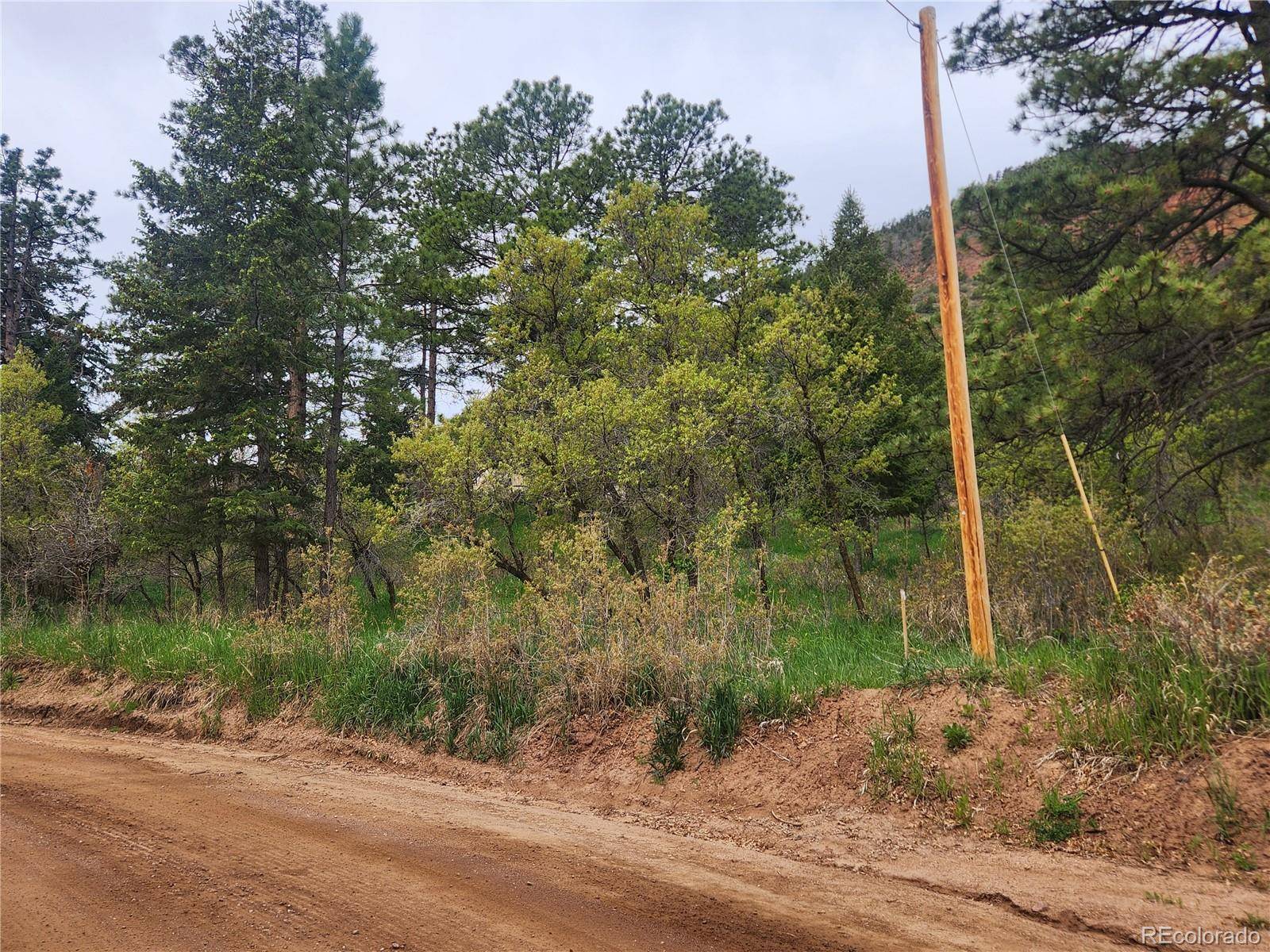 Virginia AVE, Palmer Lake, CO 80133