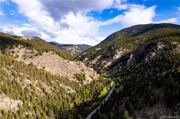 Grant, CO 80448,634 County Road 62