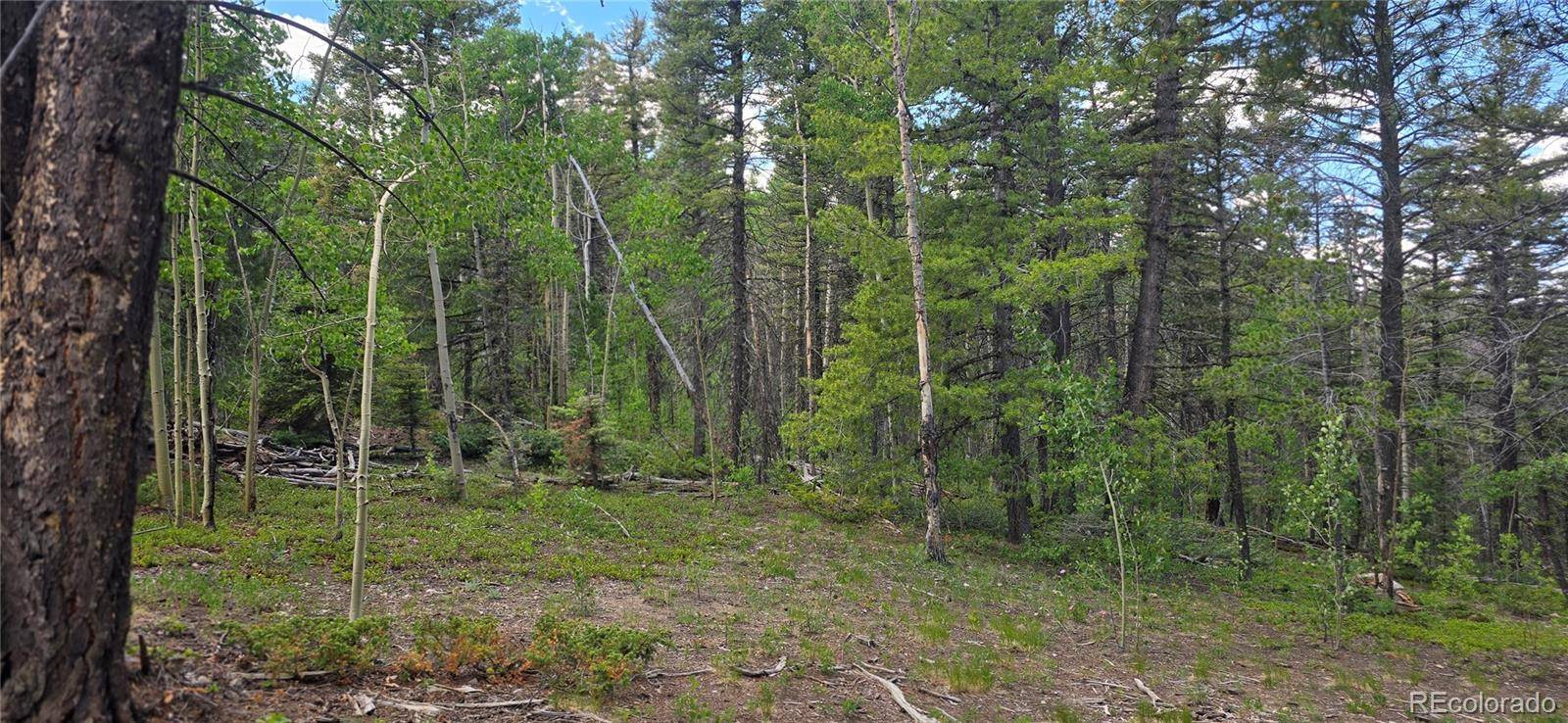 Fort Garland, CO 81133,Lot 5778 Balleroy RD