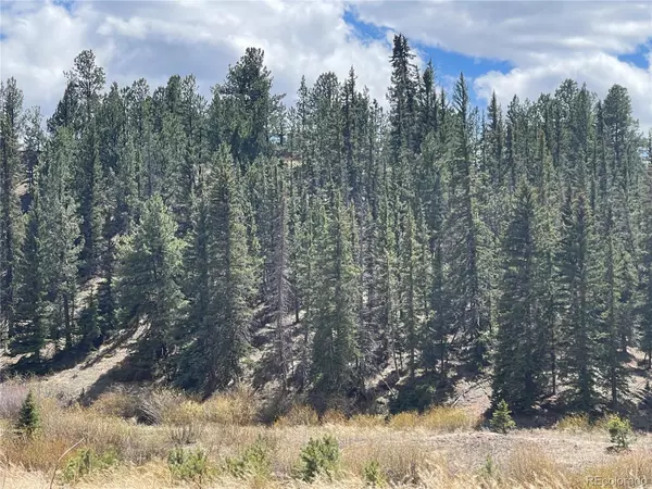 Florissant, CO 80816,00 Wildhorn RD