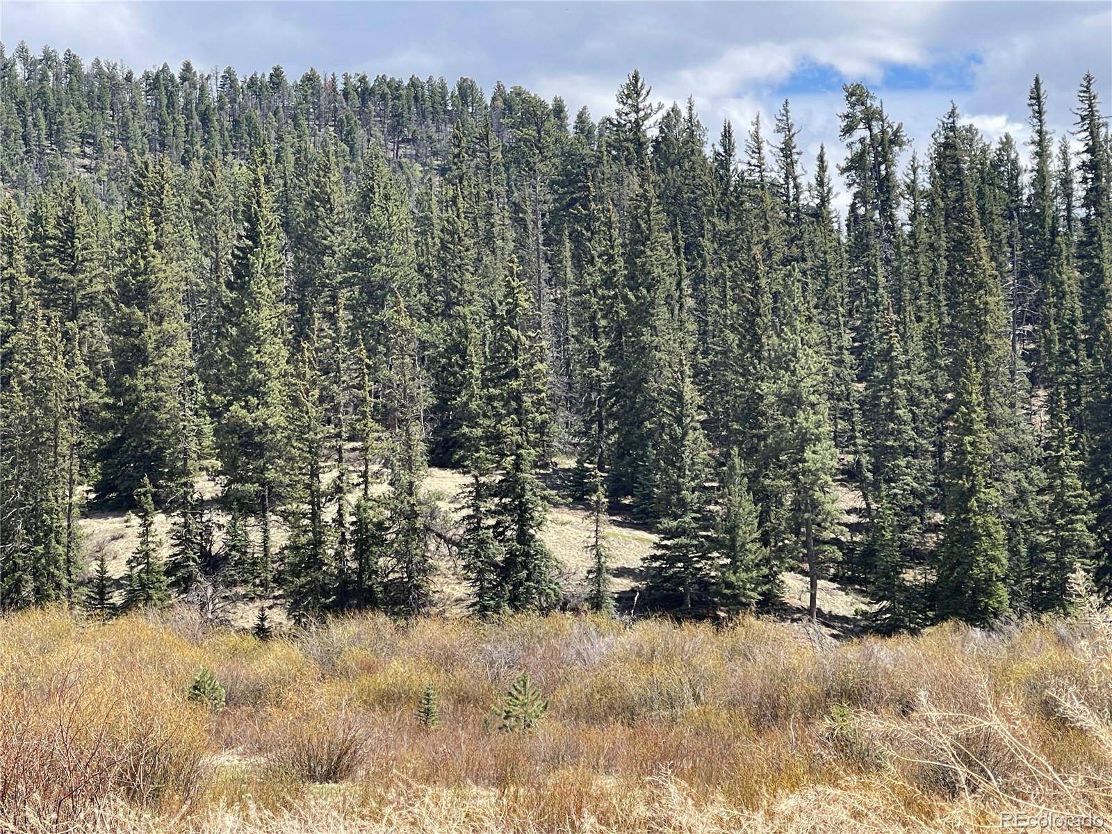 Florissant, CO 80816,00 Wildhorn RD