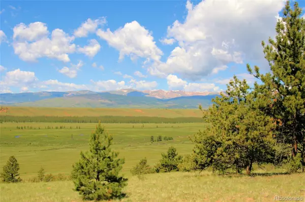 Fairplay, CO 80440,Bonell DR