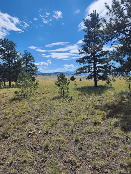 617 Boulder RD, Hartsel, CO 80449