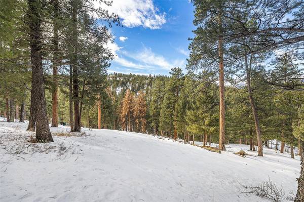 Evergreen, CO 80439,0 Bannock LN