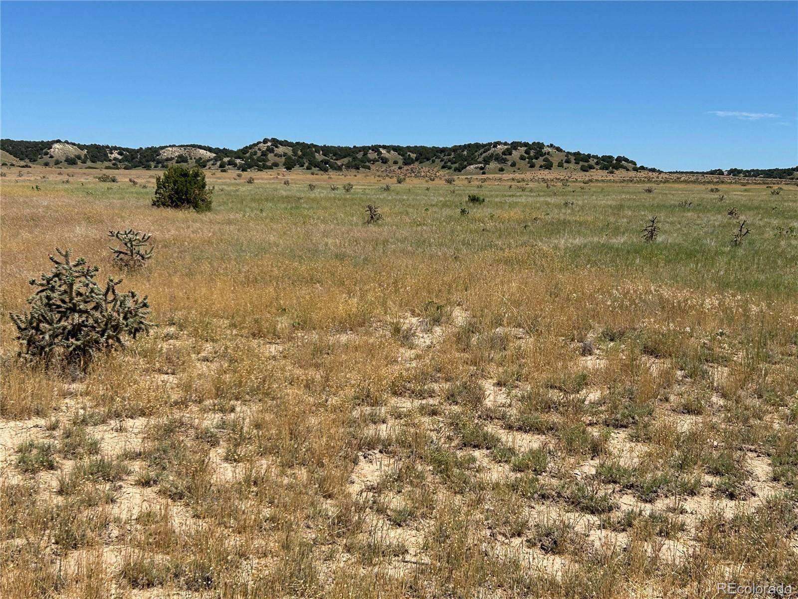 Model, CO 81059,Lot 4 Outback Ranch