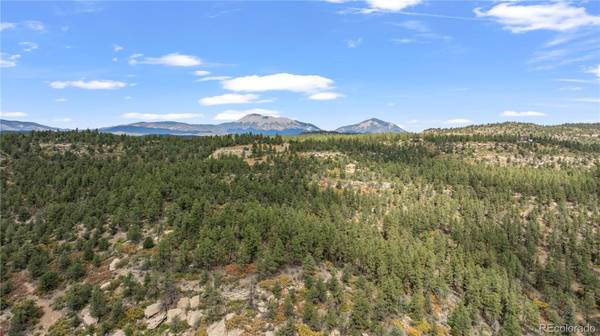 13490 Big Pine Ridge RD, Weston, CO 81091