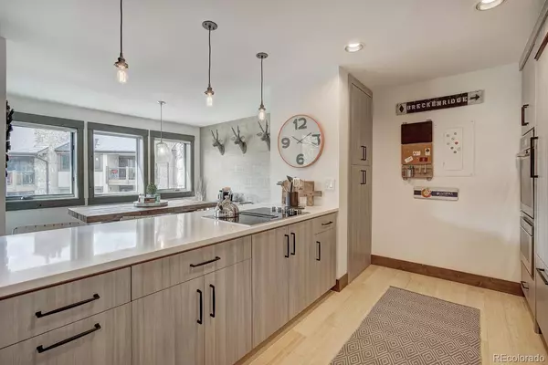 Breckenridge, CO 80424,325 Four Oclock RD #C-302