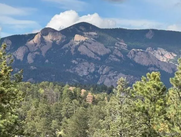 20461 Wandcrest DR, Pine, CO 80470
