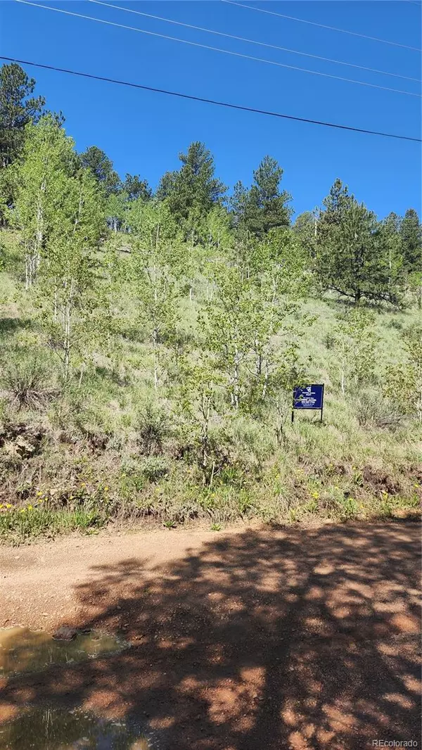 Bailey, CO 80421,267 Ward ST
