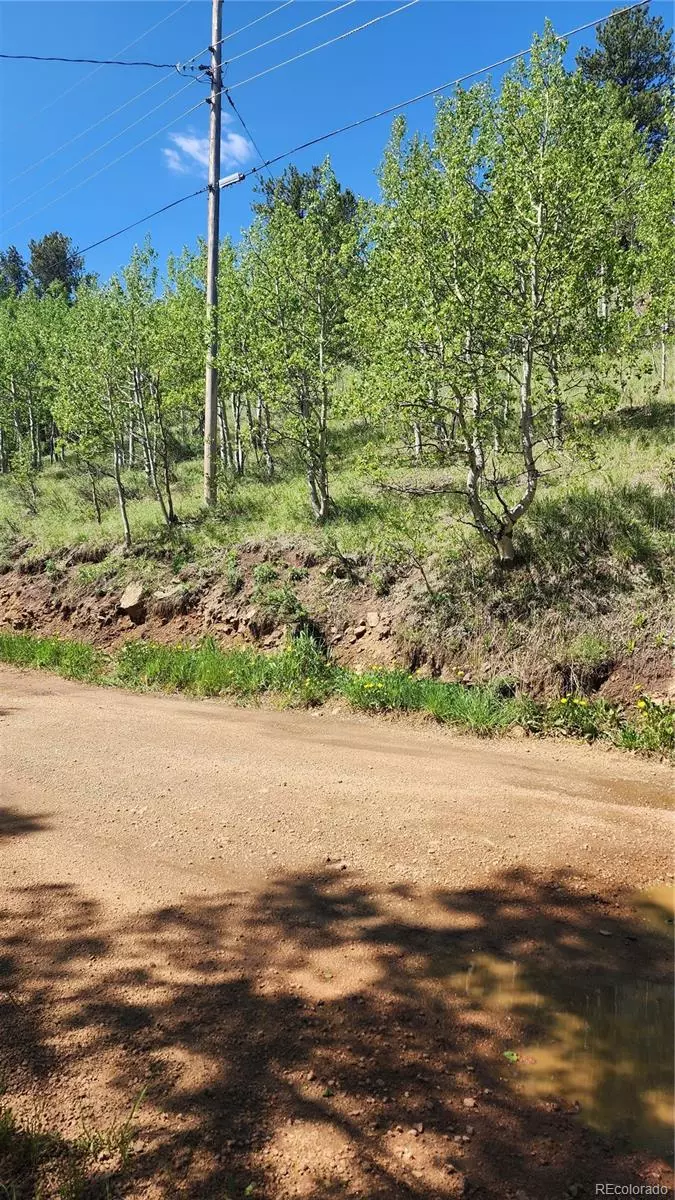 Bailey, CO 80421,267 Ward ST