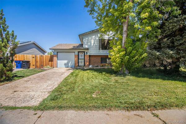 11991 W Dumbarton DR, Morrison, CO 80465