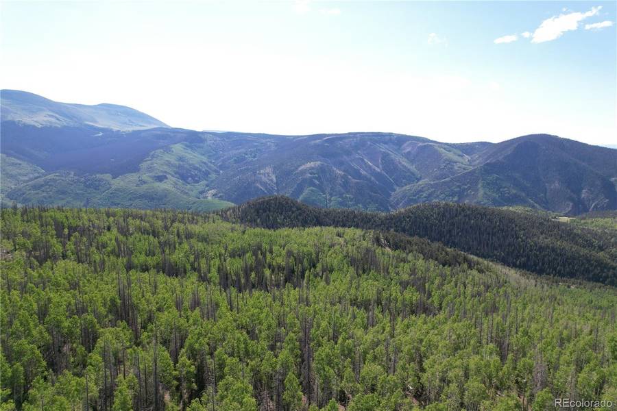 000 Forest Rd 504, Creede, CO 81130