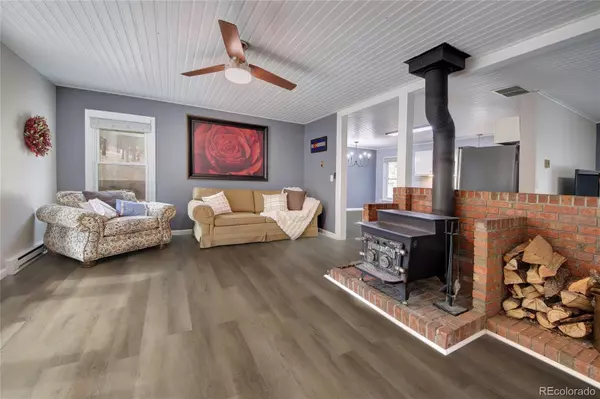 Woodland Park, CO 80863,430 Shady LN