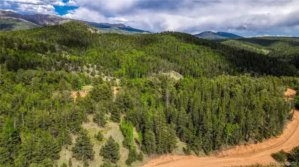 Cripple Creek, CO 80813,433 Brown Bear DR