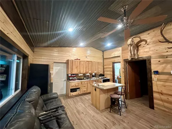 Westcliffe, CO 81252,79 Fawn ST