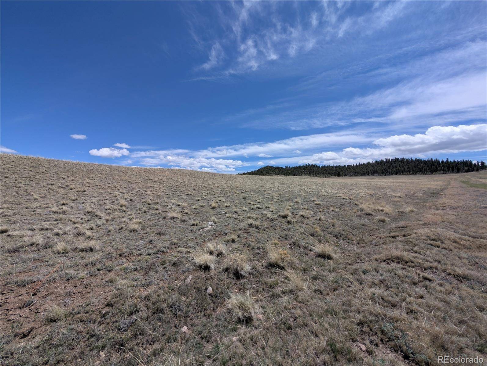 Hartsel, CO 80449,Athapascan RD