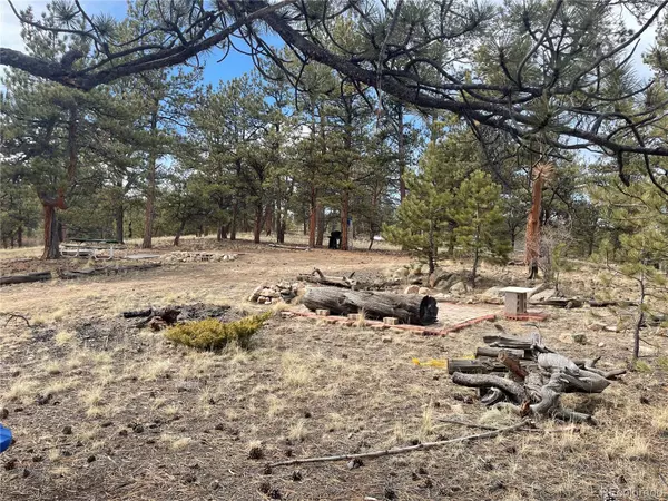 Hartsel, CO 80449,133 Shenandoah PATH