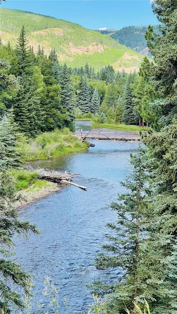 Antonito, CO 81120,166 Lonesome Pine DR