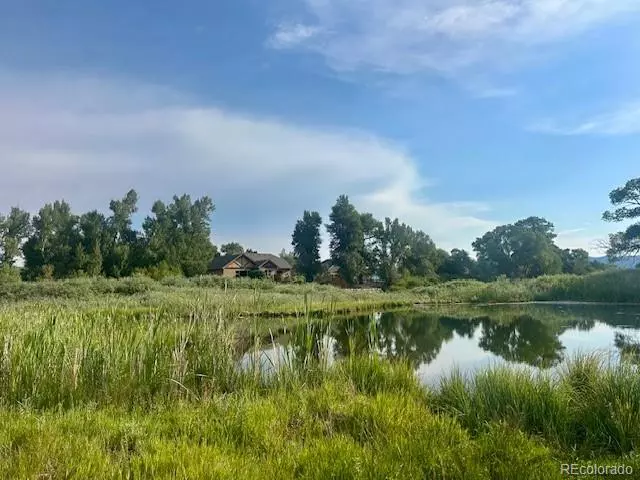 1105 Little River LN, Poncha Springs, CO 81242