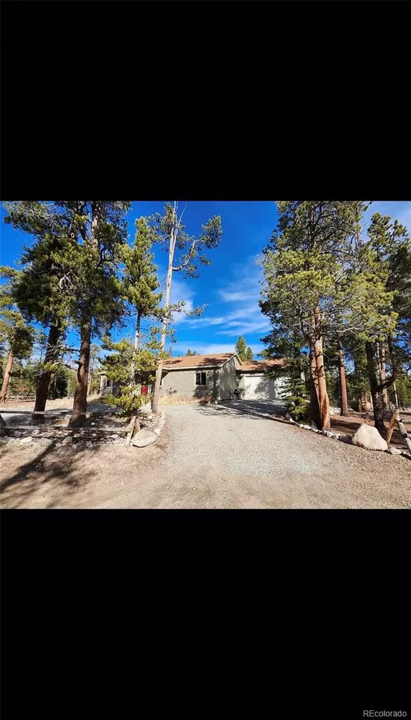 Leadville, CO 80461,455 Cedar DR