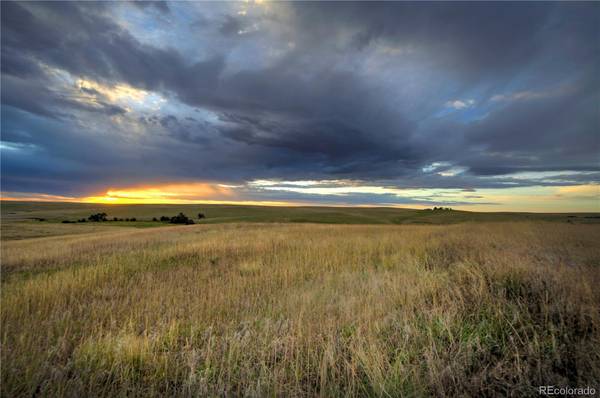 Kiowa, CO 80117,Lot 11 Last Dart RD