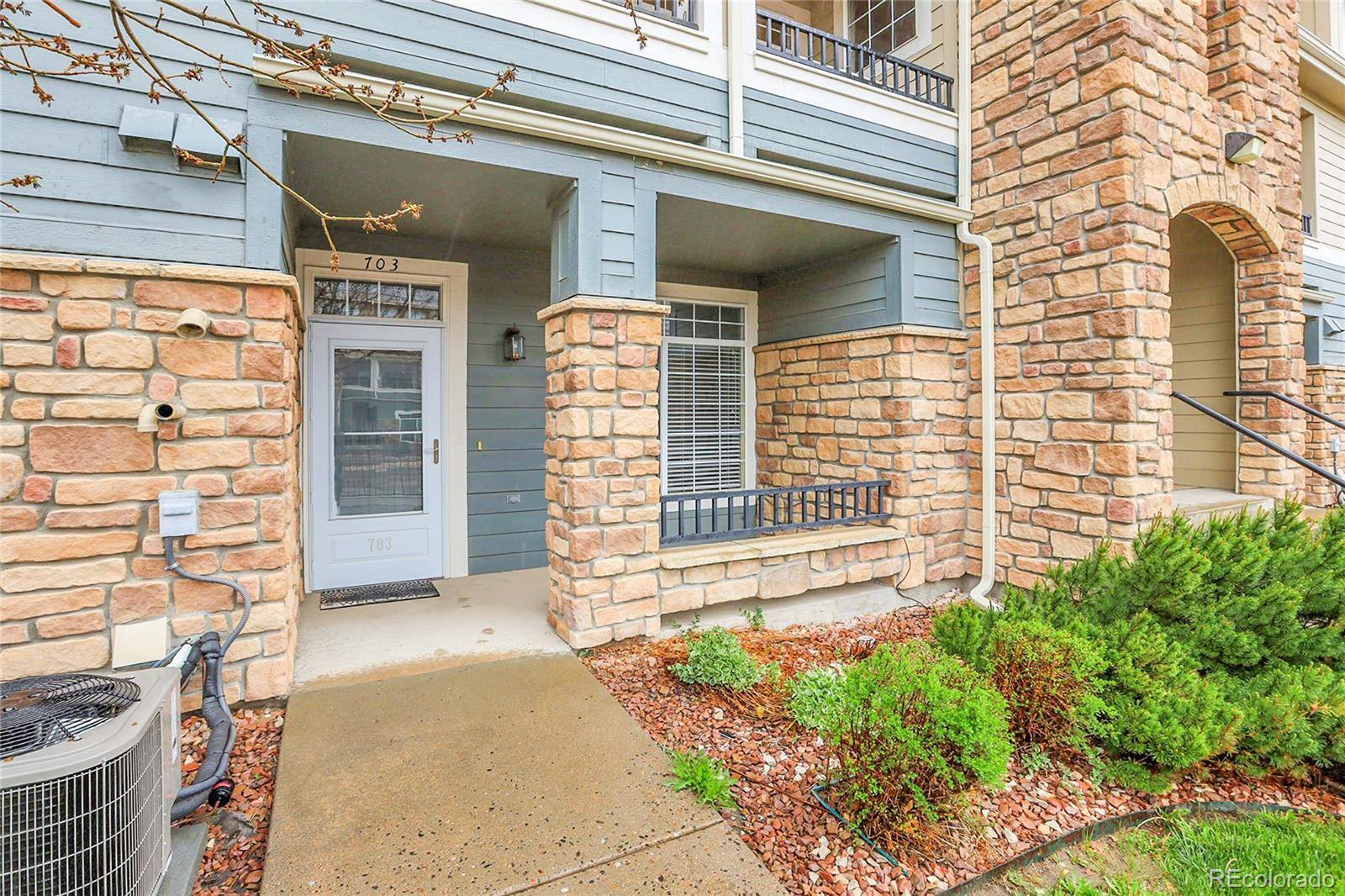 Castle Rock, CO 80104,457 Black Feather LOOP #703