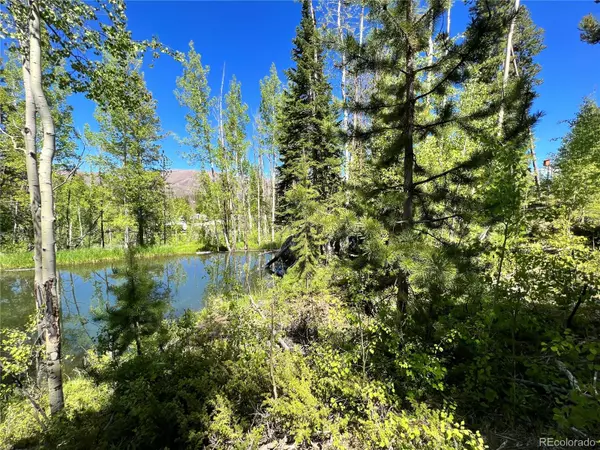 134 Mad Moose LN, Grand Lake, CO 80447