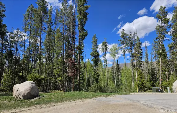 Grand Lake, CO 80447,134 Mad Moose LN