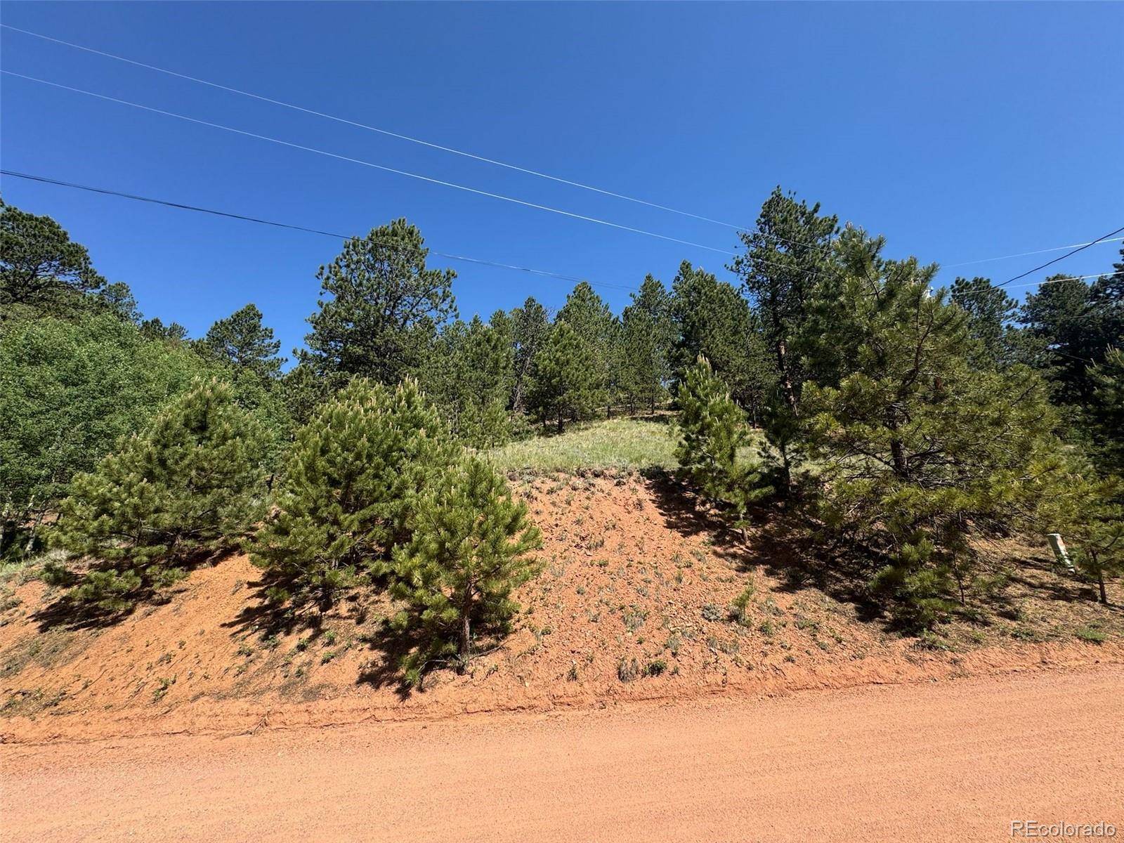 Divide, CO 80814,281 Pikes Peak DR