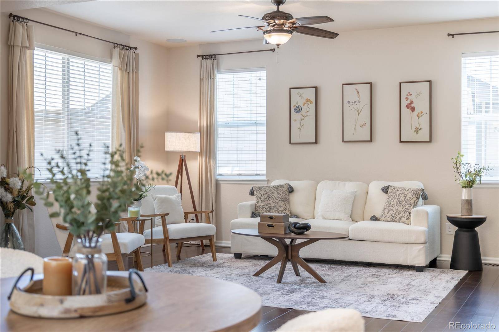 Castle Rock, CO 80109,3793 Cadence DR