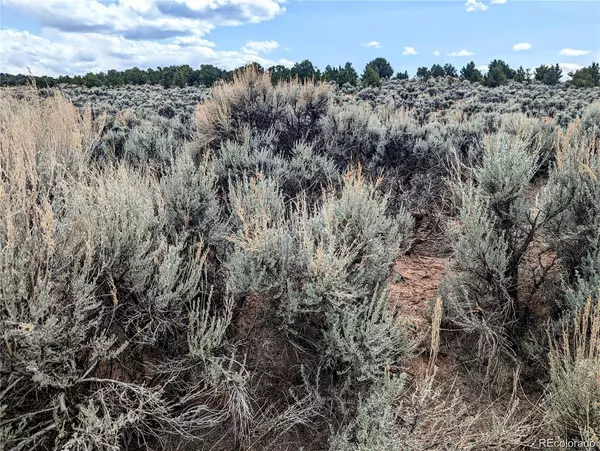 Fort Garland, CO 81133,2 Lots Norton RD