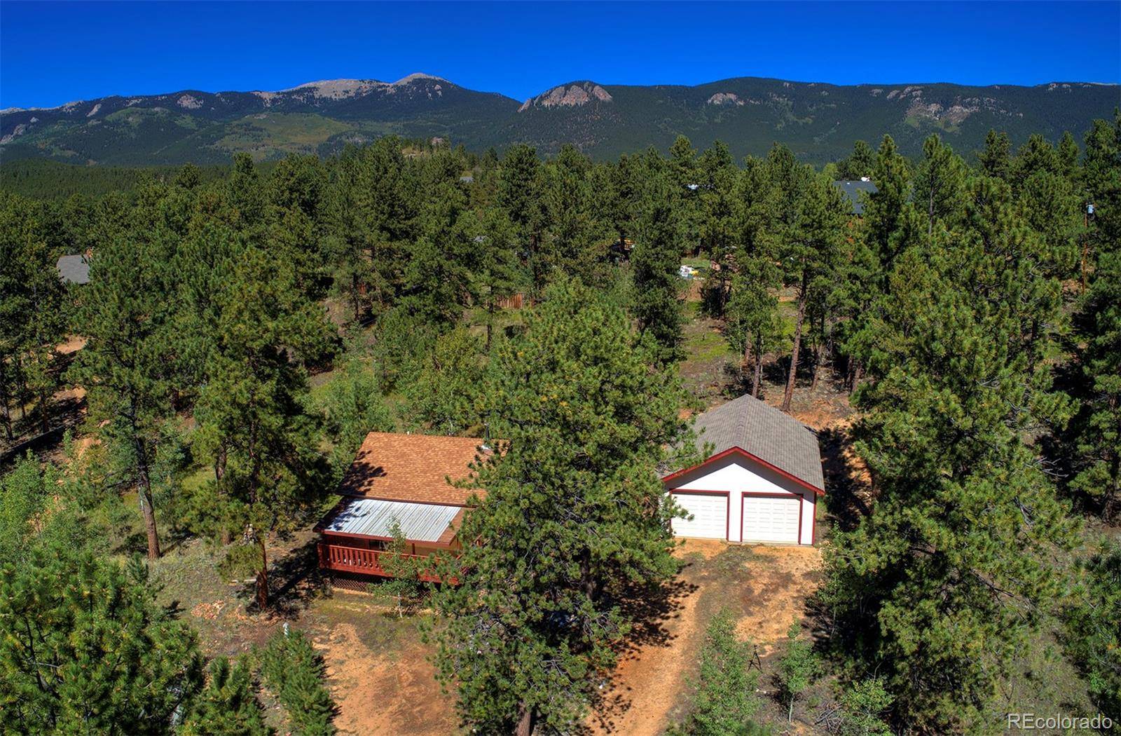 Bailey, CO 80421,117 Tall Timber LN