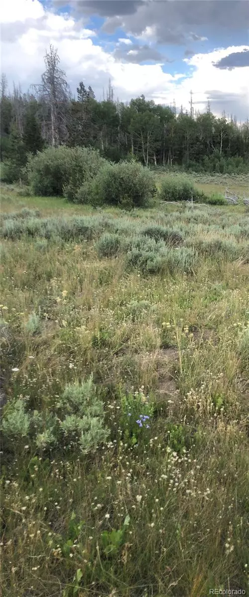 Walden, CO 80480,Forest Service Road 609