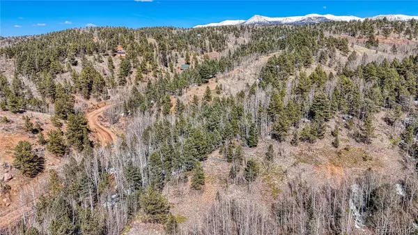 Cripple Creek, CO 80813,542 Vivenda RD