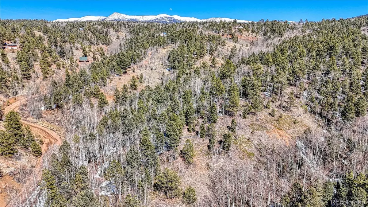 Cripple Creek, CO 80813,542 Vivenda RD