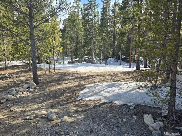 Alma, CO 80420,2221 Kootchie Kootchie RD