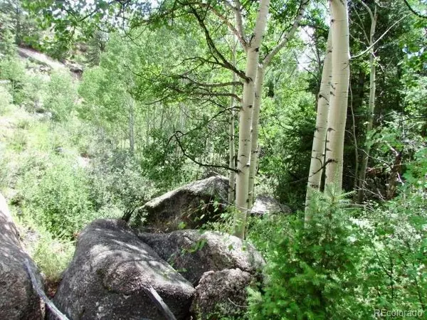 Cripple Creek, CO 80813,407 El Paso CT