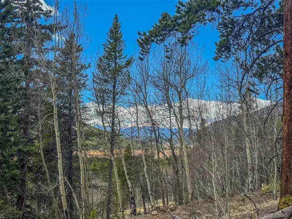 Buckeye Gulch RD, Leadville, CO 80461