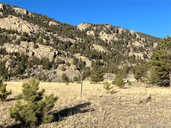 Lake George, CO 80827,215 Topaz RD