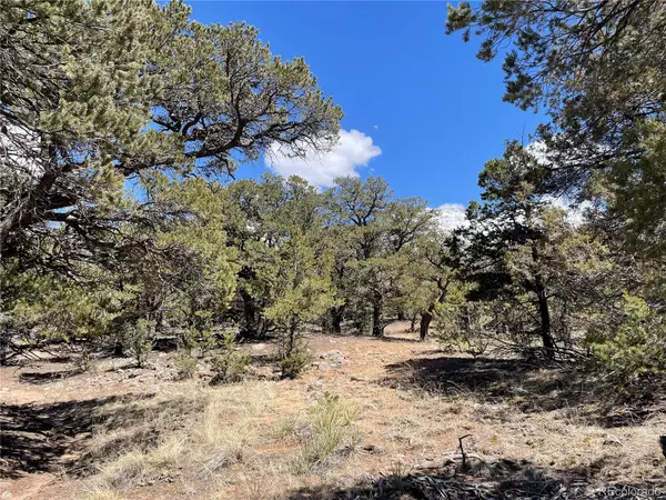 Crestone, CO 81131,795 Peaceful WAY