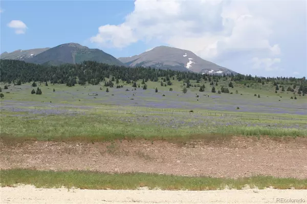 Westcliffe, CO 81252,1255 Co Road 172